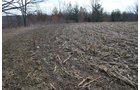 Property photo 51 - 98+/- Acres Offered in 6 Tracts or Combinations, Noble County, Indiana Farm